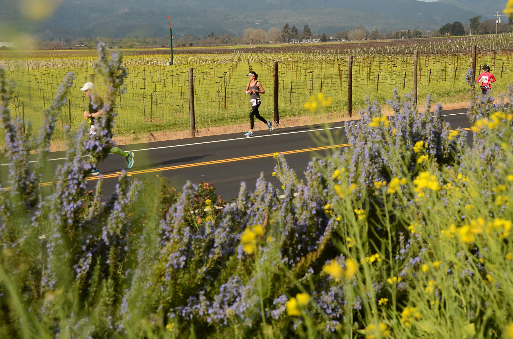 Napa Valley Marathon